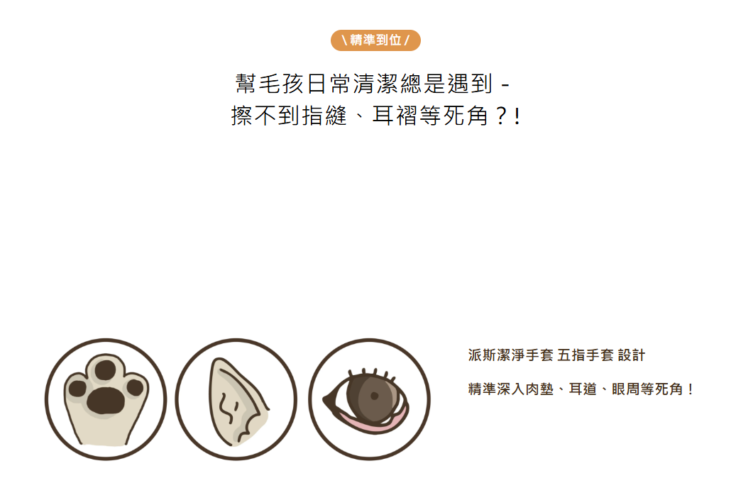 螢幕擷取畫面 2026 05 08 051245